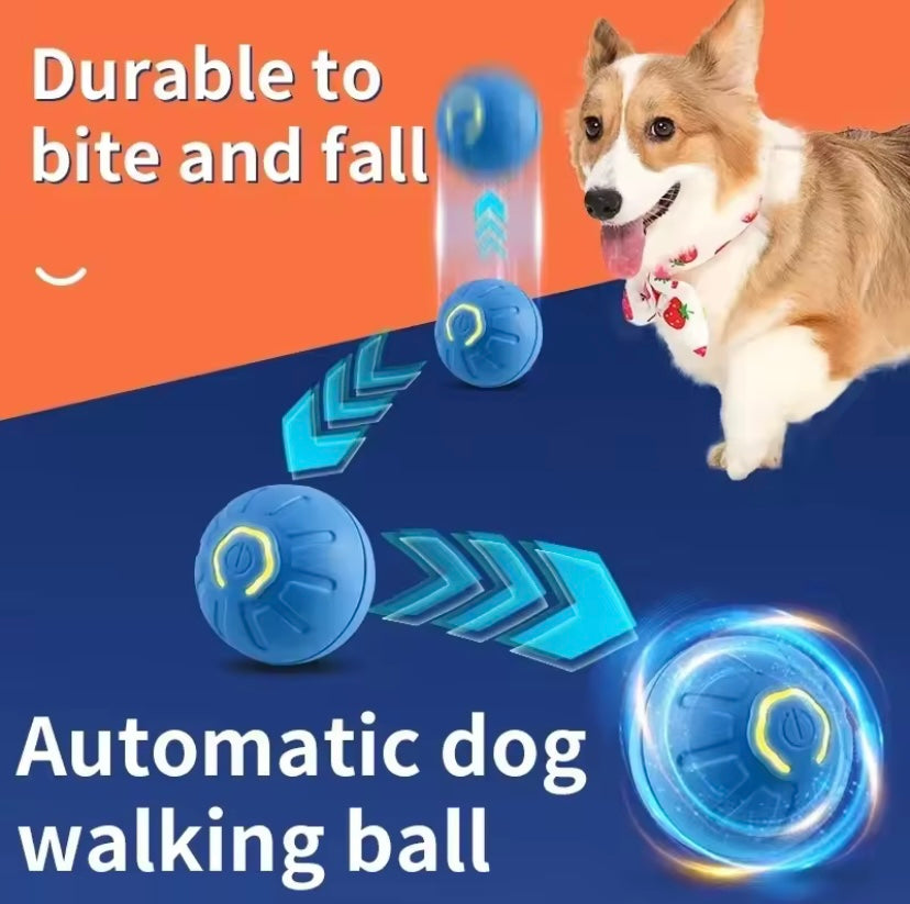 Interactive Toy