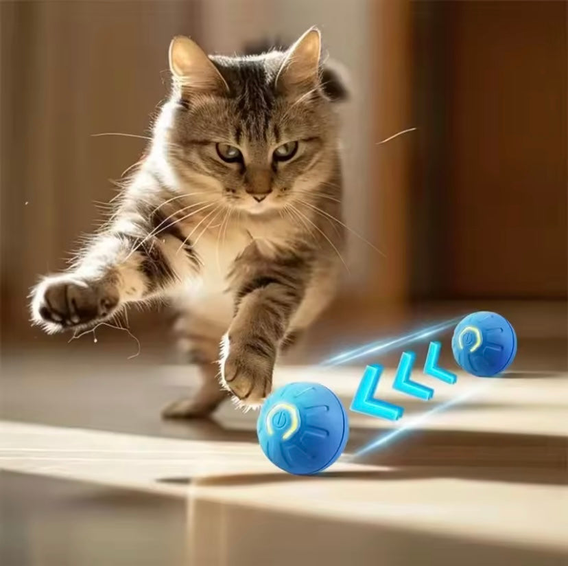 Interactive Toy