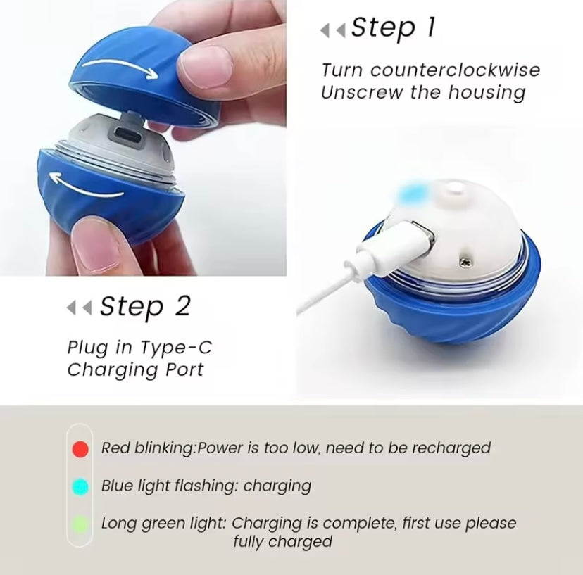 Interactive Toy