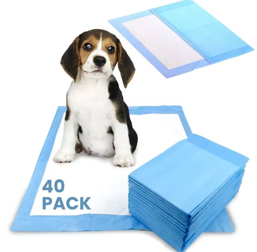 Dog Training Pads