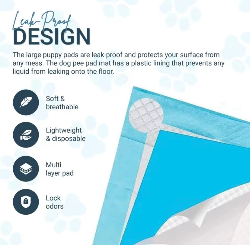 Dog Training Pads