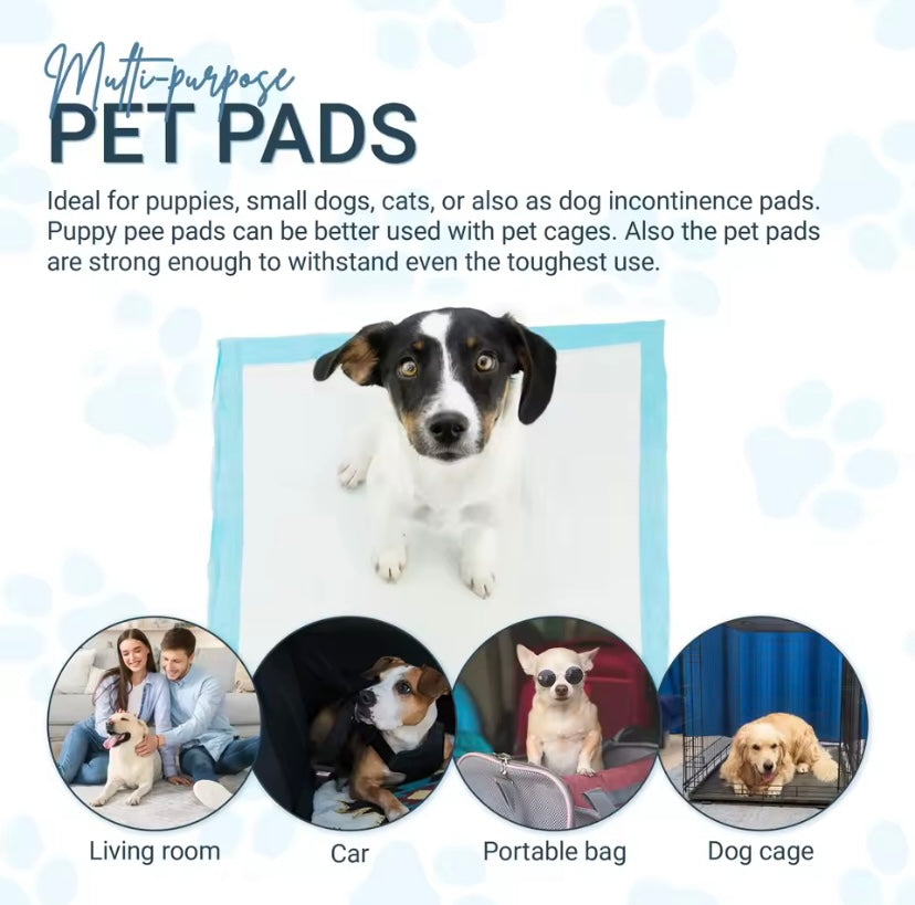 Dog Training Pads
