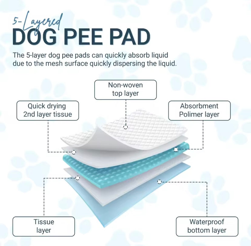 Dog Training Pads