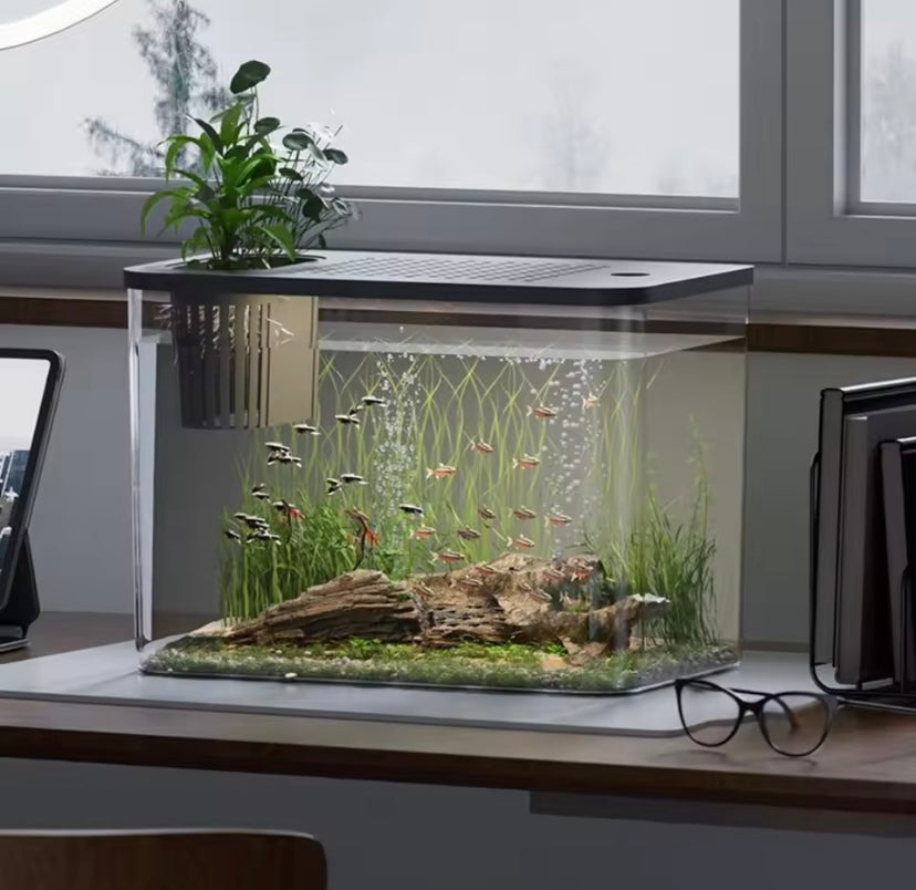 Fish Bowl