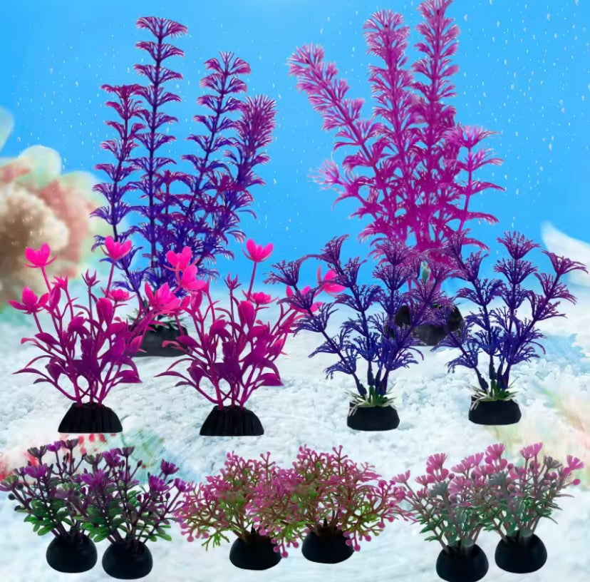 Fish Bowl Accessories