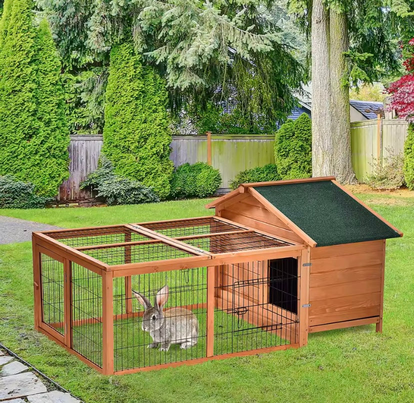 Rabbit Run
