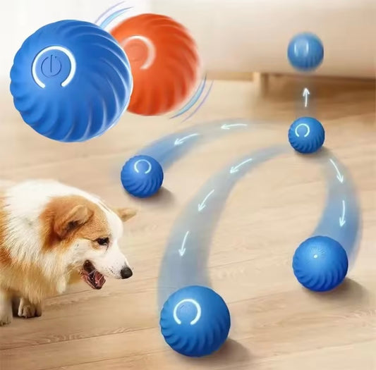 Interactive Toy