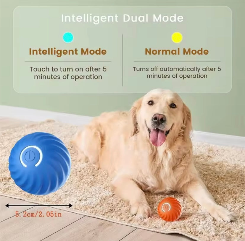 Interactive Toy