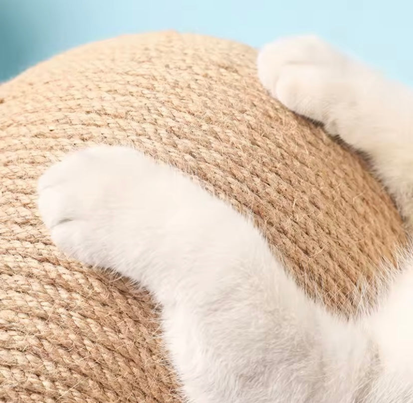 Cat Scratcher