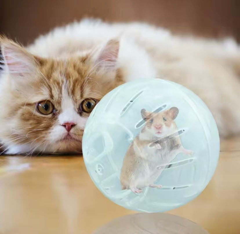 Hamster Ball