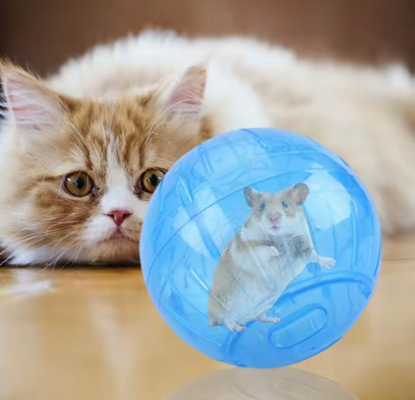 Hamster Ball