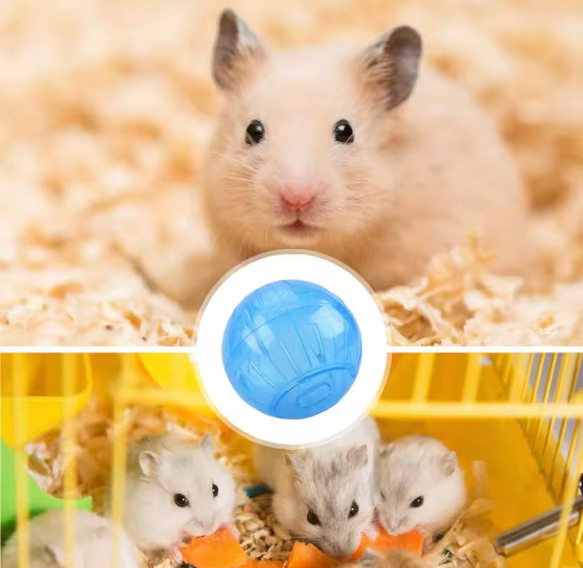 Hamster Ball
